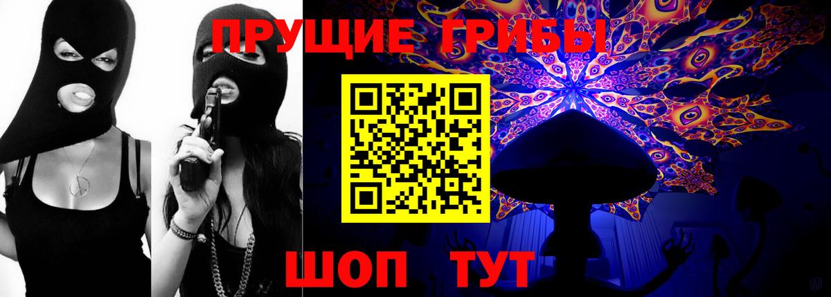 Псилоцибиновые грибы MAGIC MUSHROOMS  Вход с VPN  купить закладку  Отрадное 